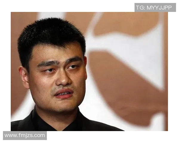 紧急救援姚明的19个关键时刻与背后故事揭秘